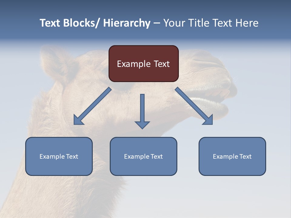 East Dry Dhabi PowerPoint Template