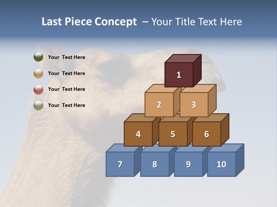 East Dry Dhabi PowerPoint Template