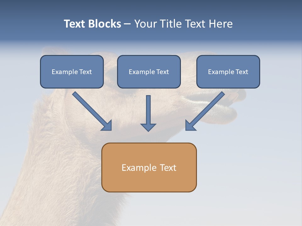 East Dry Dhabi PowerPoint Template