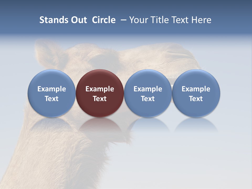 East Dry Dhabi PowerPoint Template