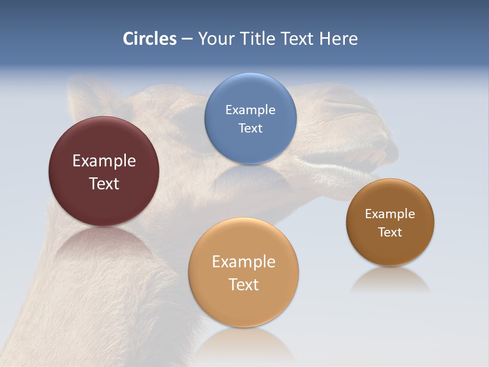 East Dry Dhabi PowerPoint Template