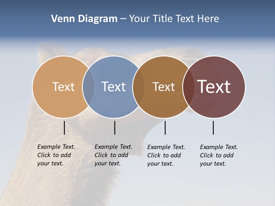 East Dry Dhabi PowerPoint Template