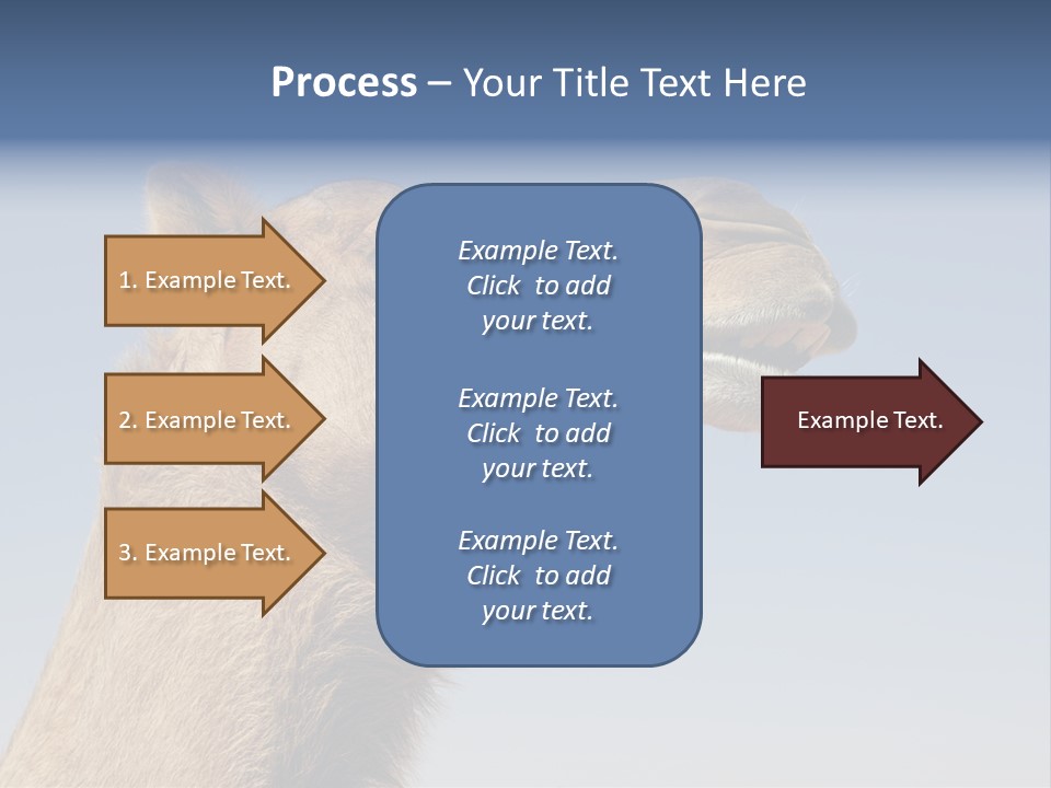 East Dry Dhabi PowerPoint Template