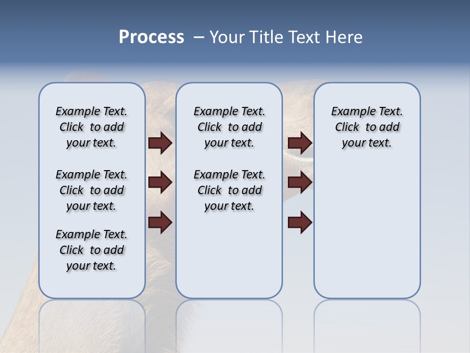 East Dry Dhabi PowerPoint Template