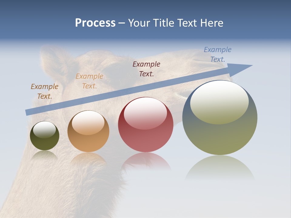 East Dry Dhabi PowerPoint Template