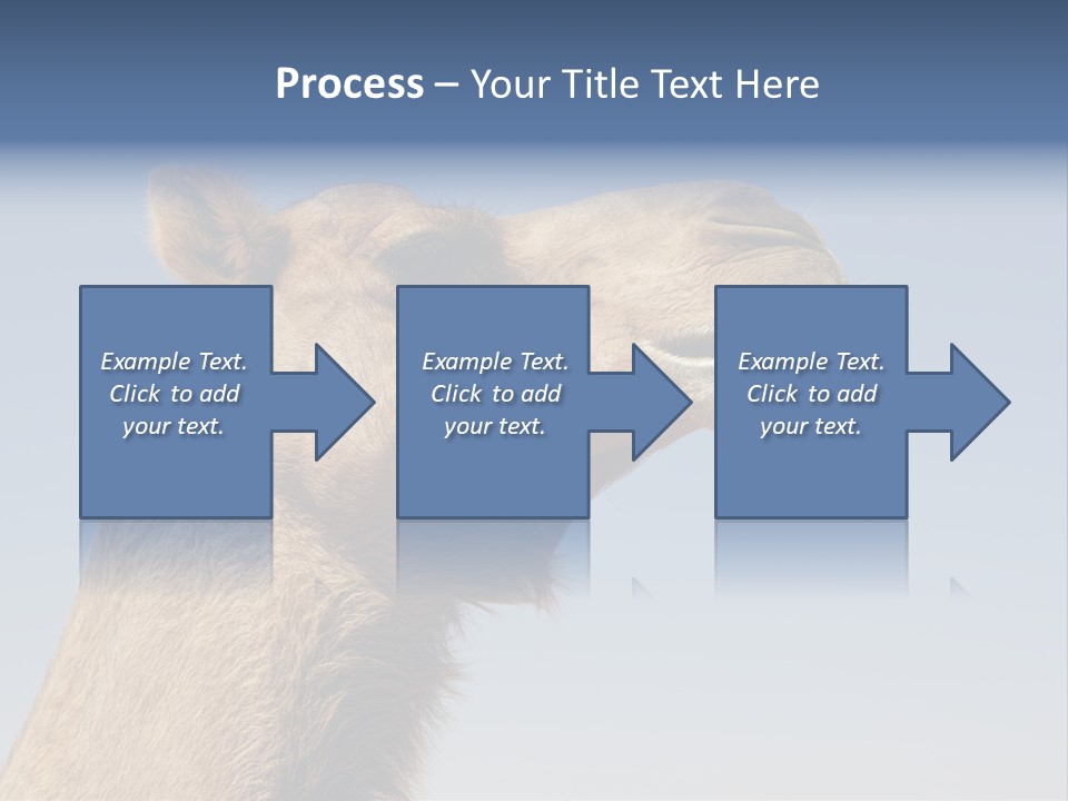 East Dry Dhabi PowerPoint Template