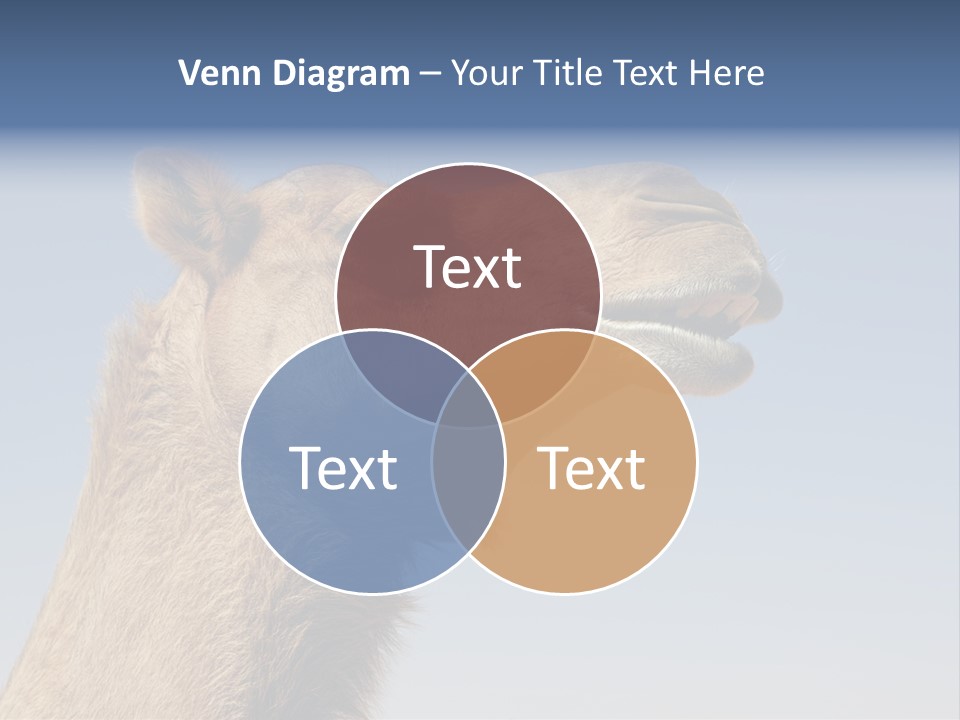 East Dry Dhabi PowerPoint Template