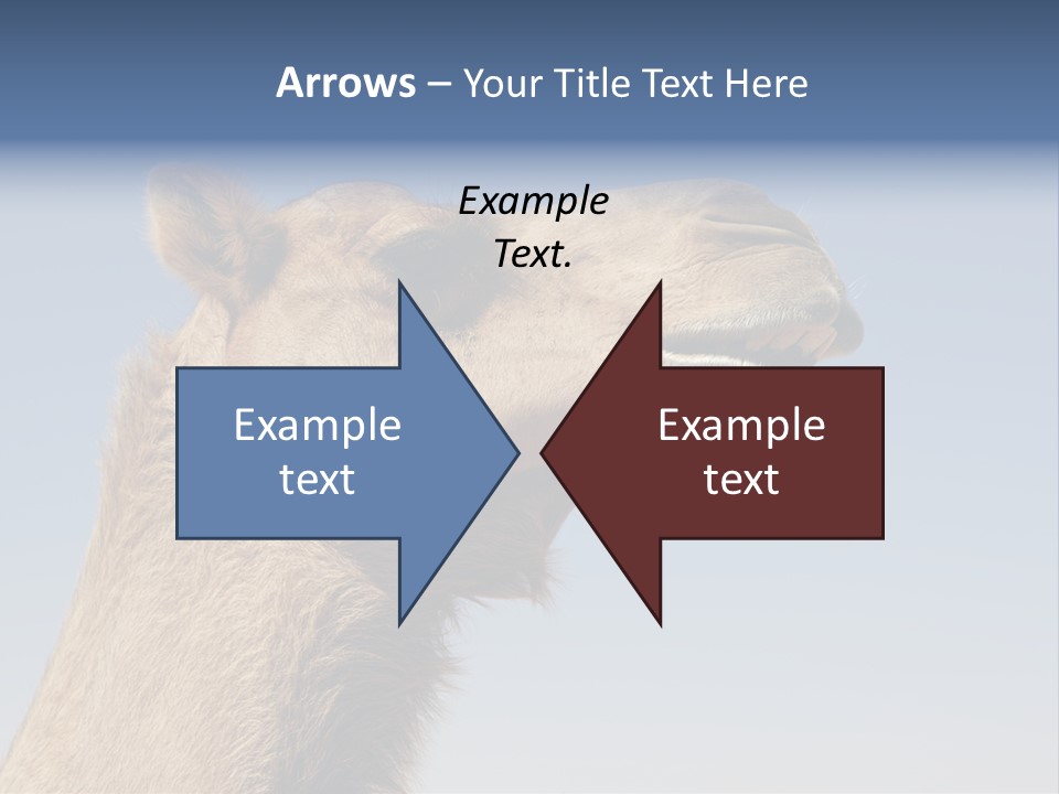 East Dry Dhabi PowerPoint Template