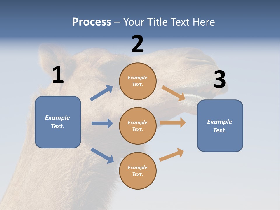 East Dry Dhabi PowerPoint Template