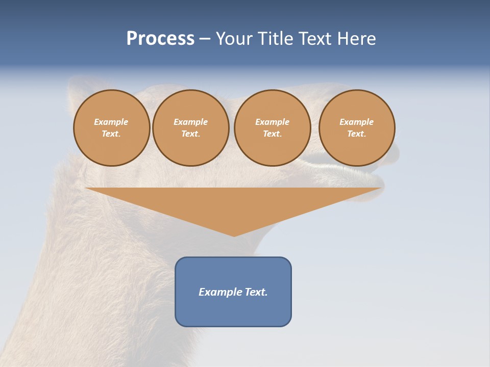 East Dry Dhabi PowerPoint Template