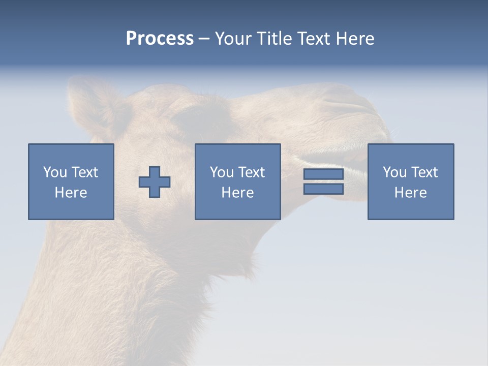 East Dry Dhabi PowerPoint Template