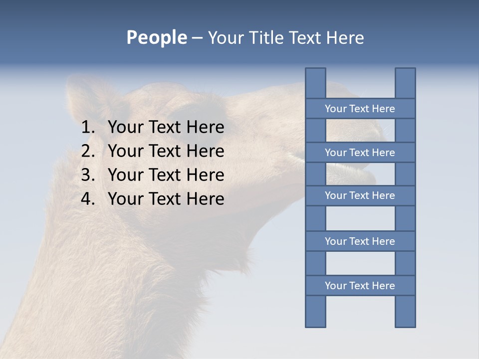 East Dry Dhabi PowerPoint Template