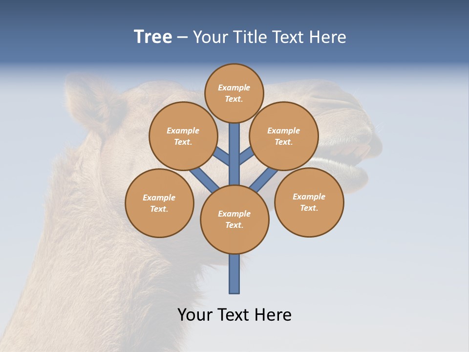 East Dry Dhabi PowerPoint Template