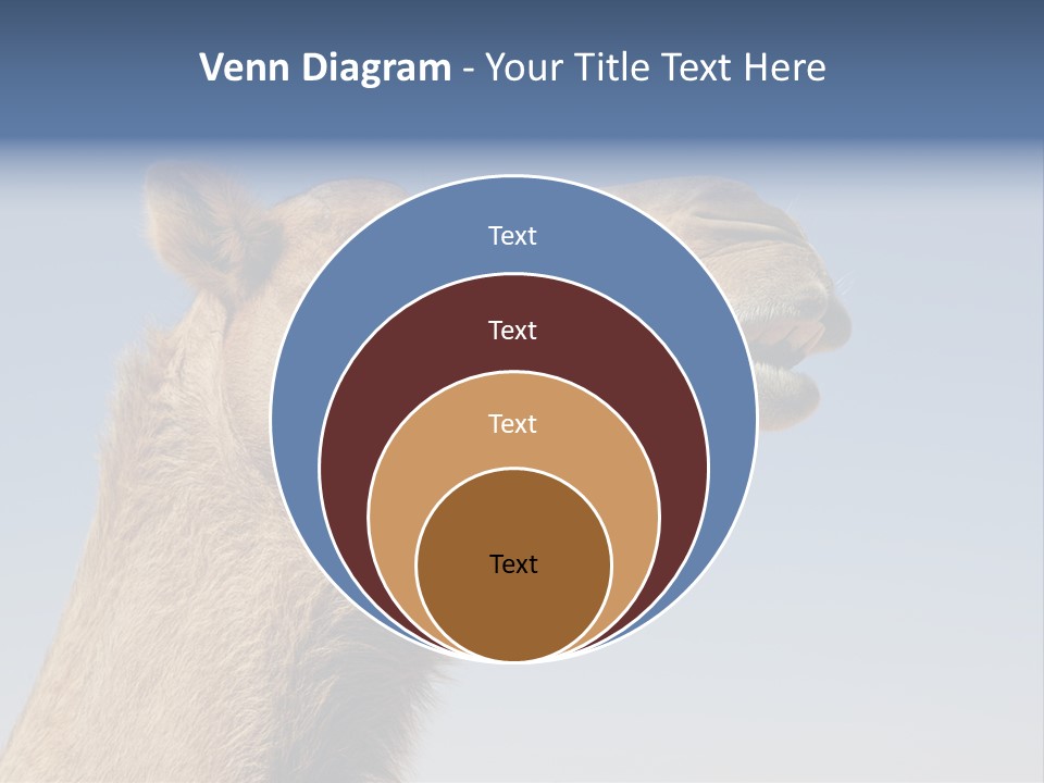 East Dry Dhabi PowerPoint Template