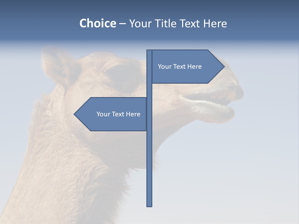 East Dry Dhabi PowerPoint Template