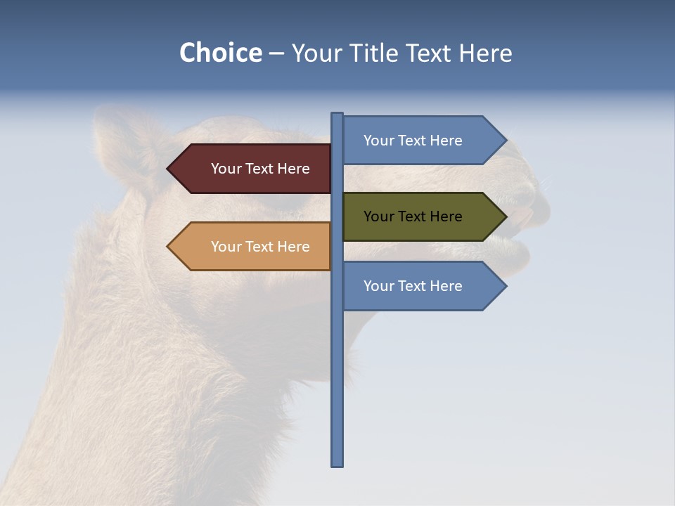 East Dry Dhabi PowerPoint Template