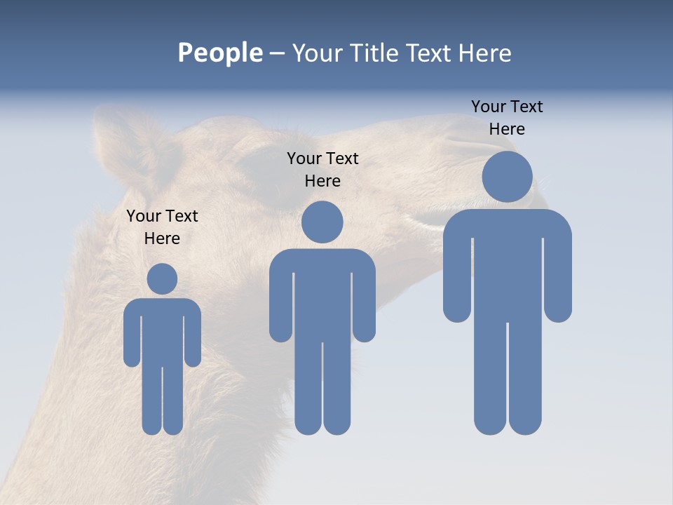 East Dry Dhabi PowerPoint Template