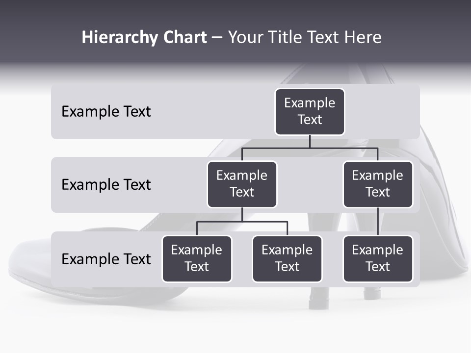 High Leather Isolated PowerPoint Template