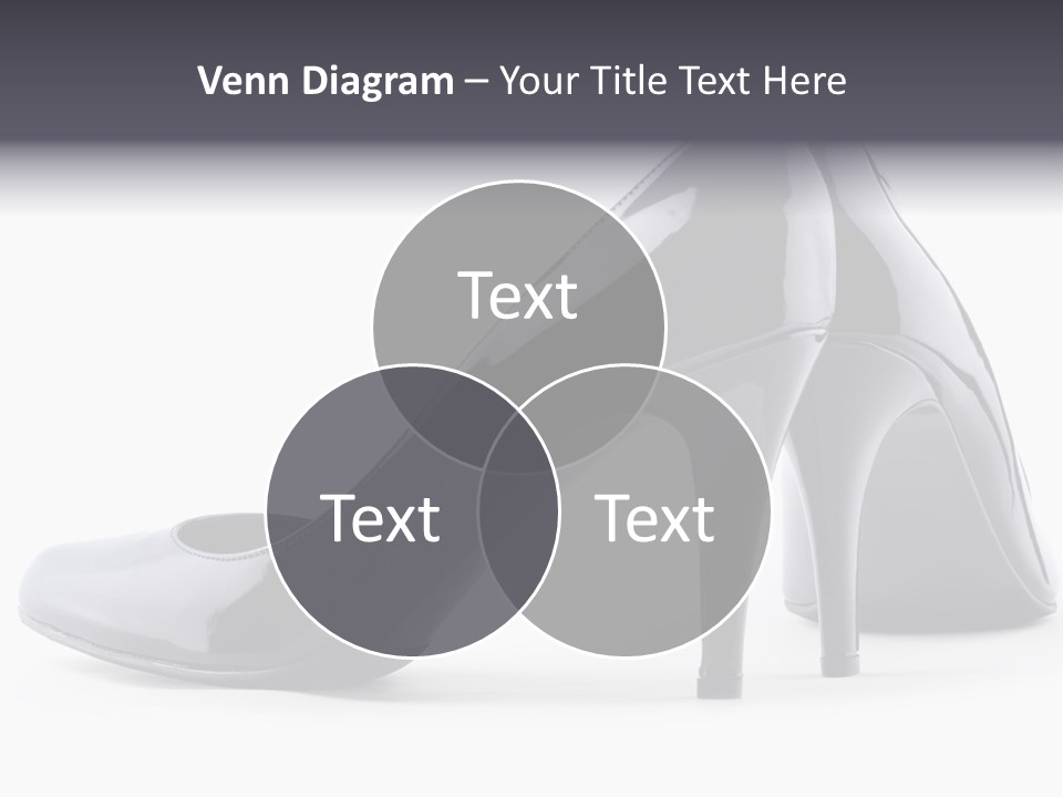 High Leather Isolated PowerPoint Template