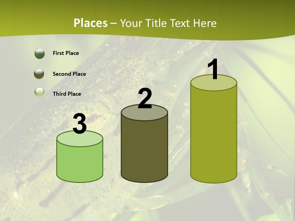 Tank Bottom Monster PowerPoint Template