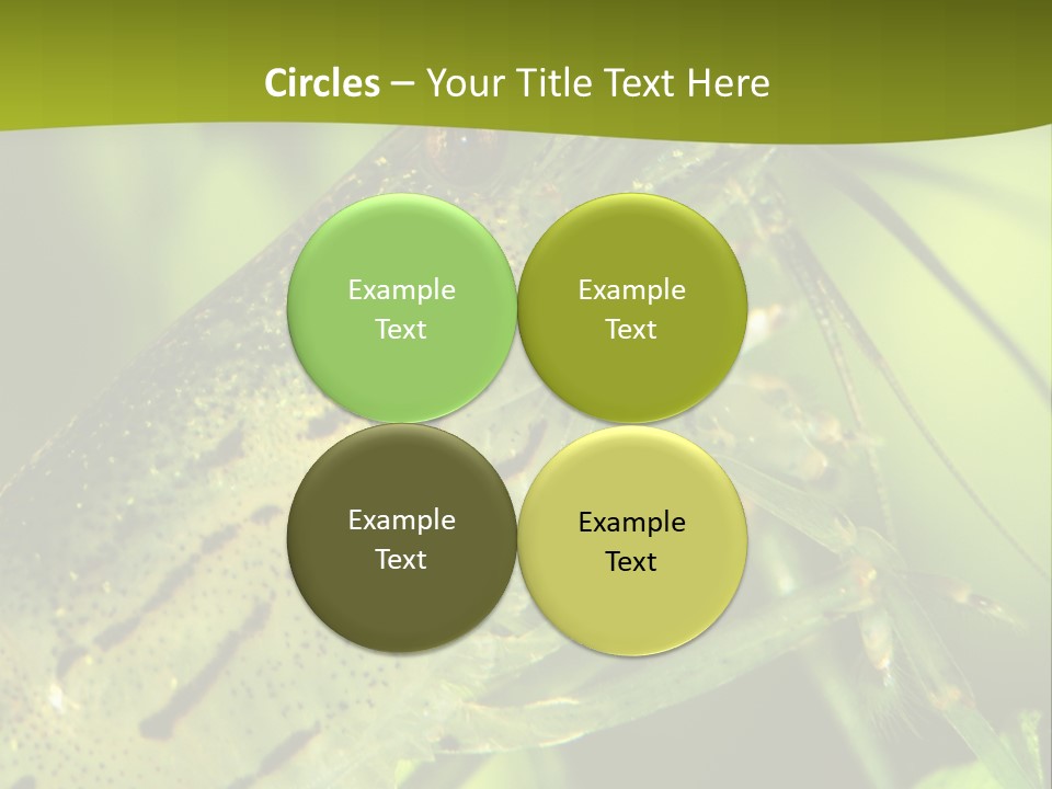 Tank Bottom Monster PowerPoint Template