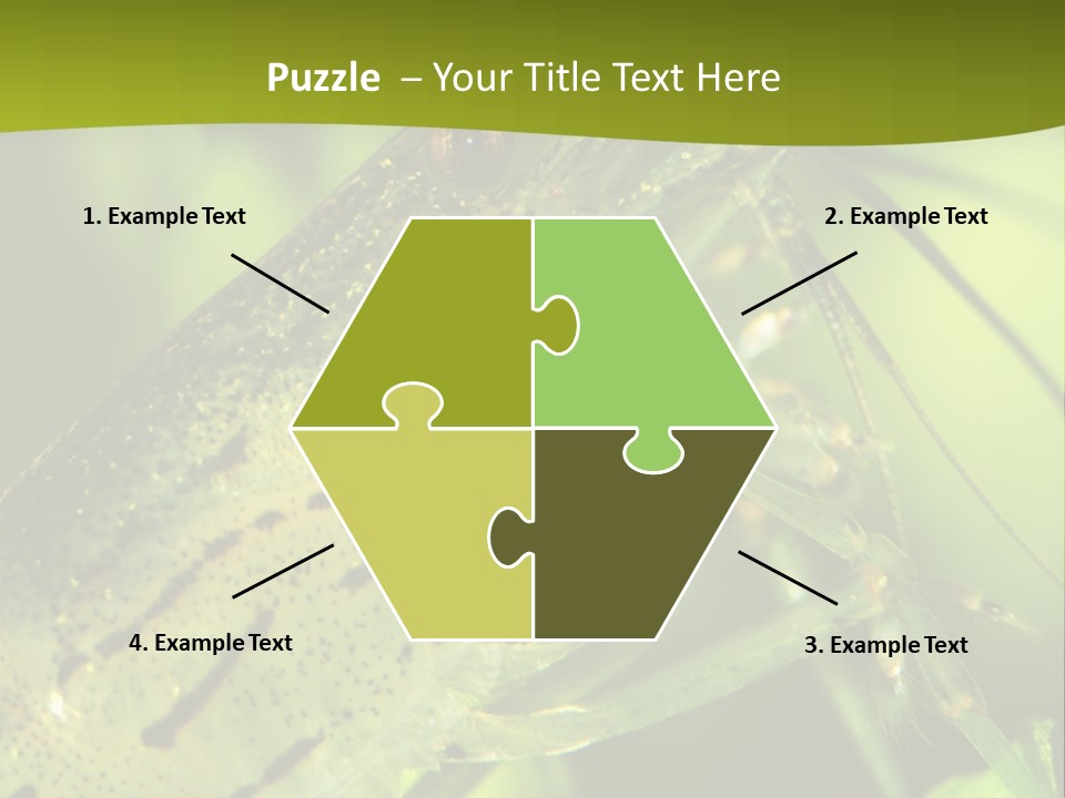 Tank Bottom Monster PowerPoint Template