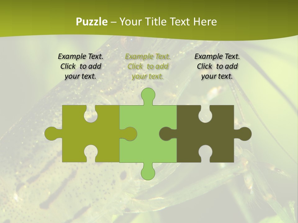 Tank Bottom Monster PowerPoint Template