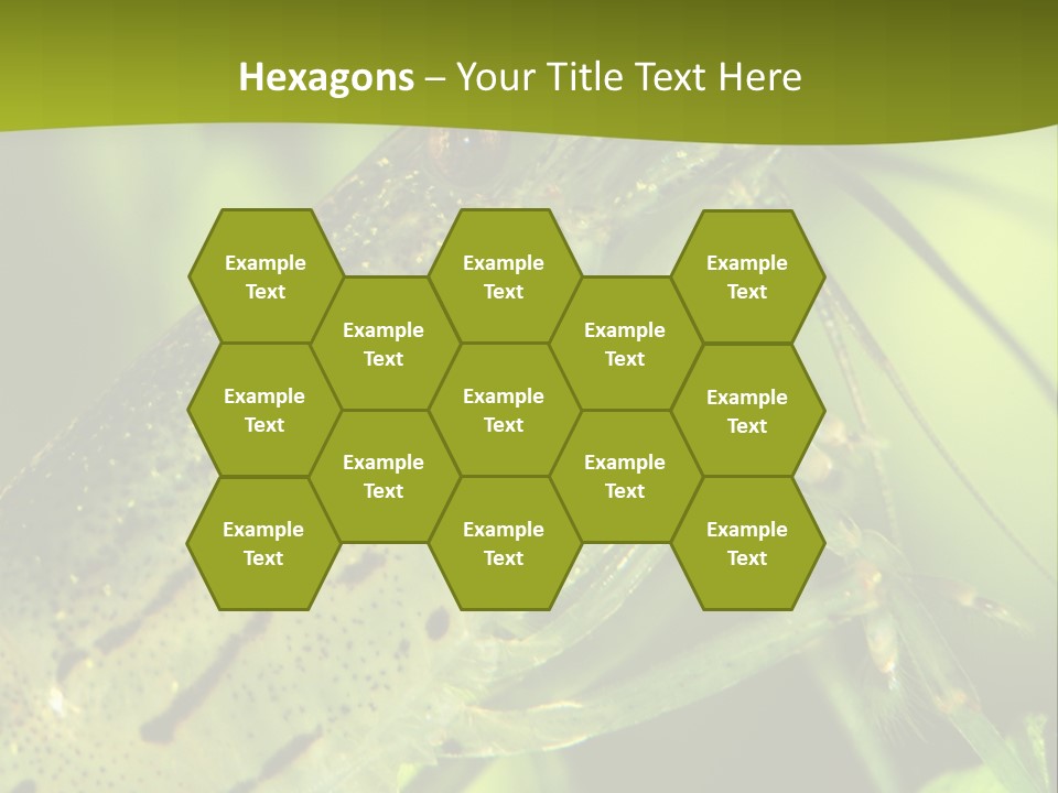 Tank Bottom Monster PowerPoint Template