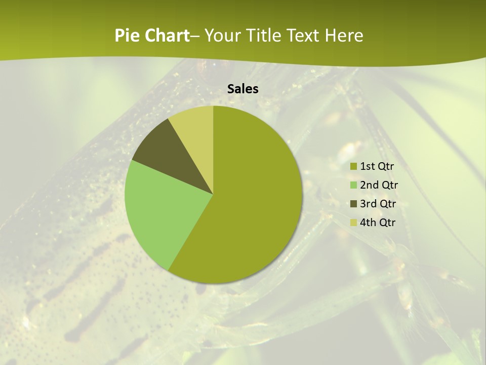 Tank Bottom Monster PowerPoint Template