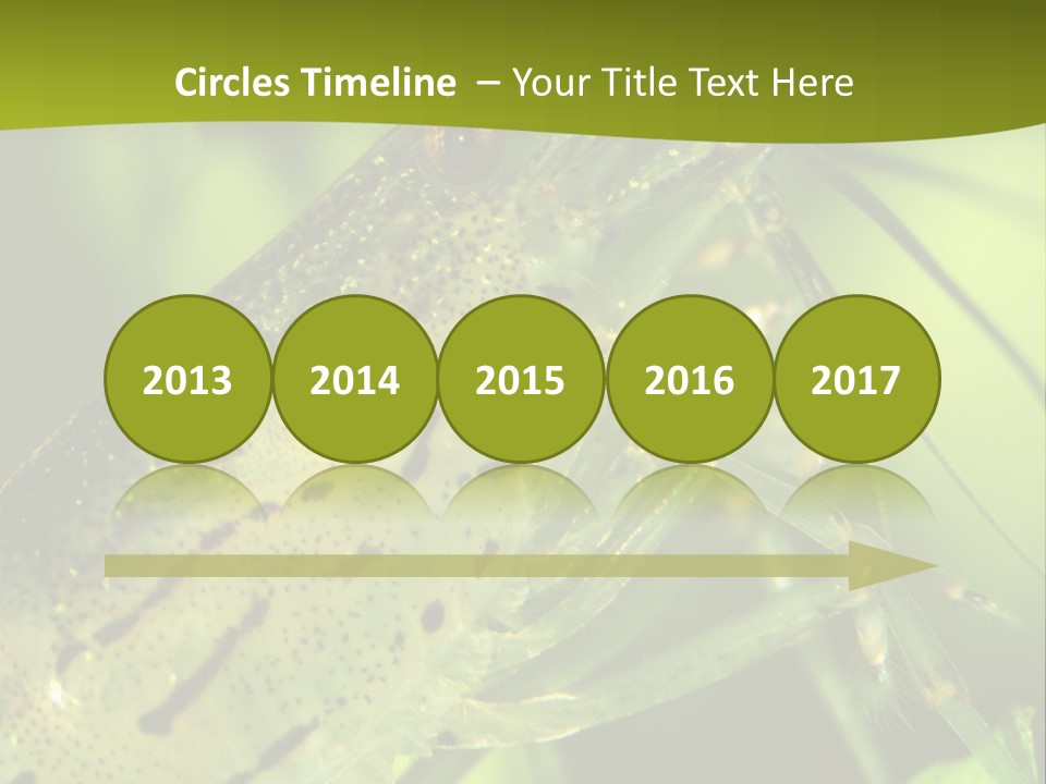 Tank Bottom Monster PowerPoint Template