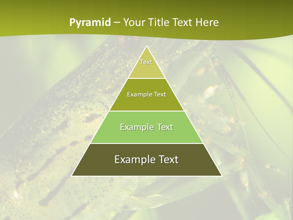 Tank Bottom Monster PowerPoint Template