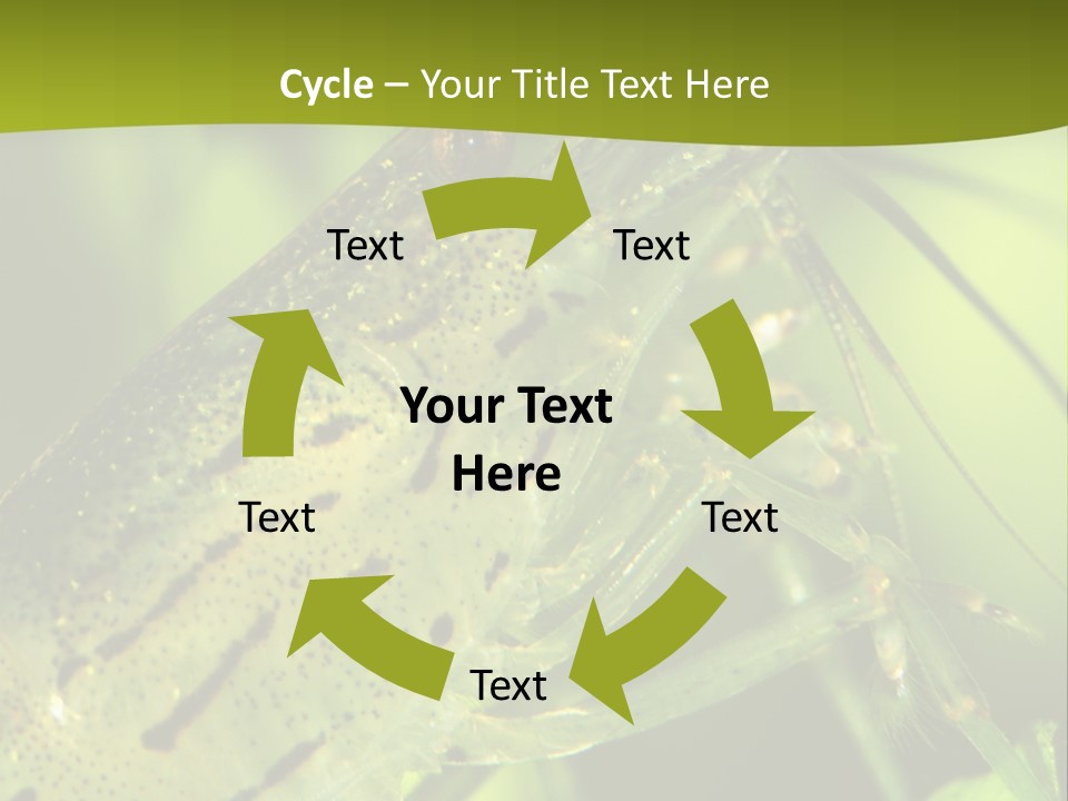 Tank Bottom Monster PowerPoint Template