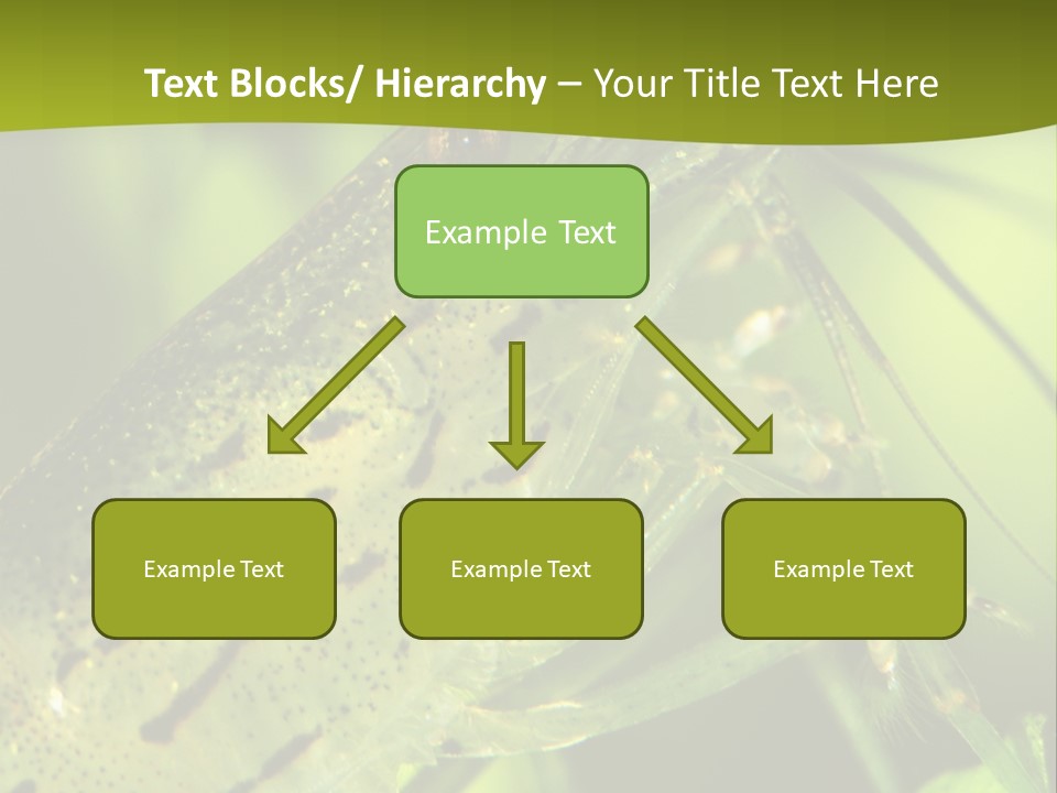 Tank Bottom Monster PowerPoint Template