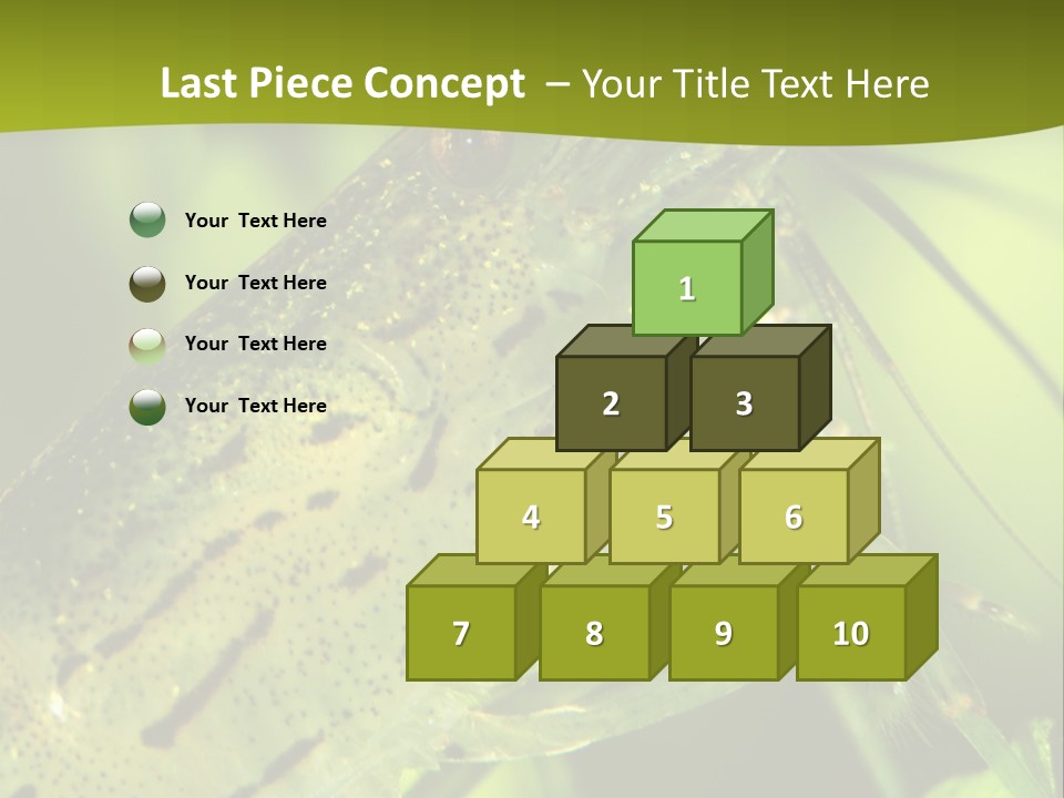 Tank Bottom Monster PowerPoint Template