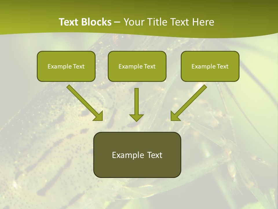 Tank Bottom Monster PowerPoint Template