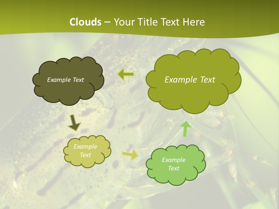 Tank Bottom Monster PowerPoint Template