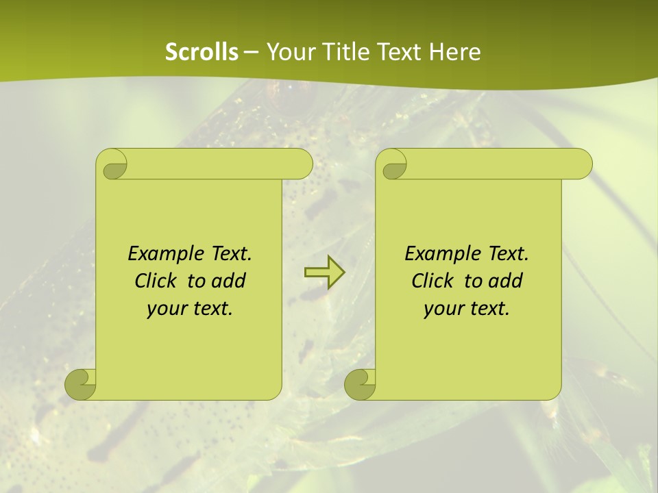 Tank Bottom Monster PowerPoint Template