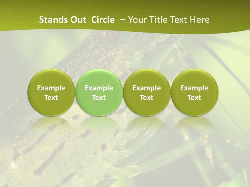Tank Bottom Monster PowerPoint Template