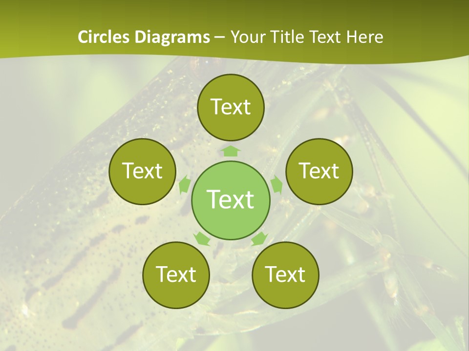 Tank Bottom Monster PowerPoint Template