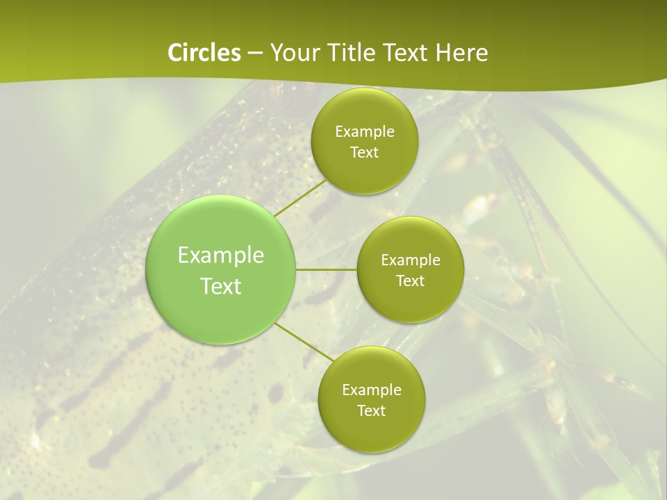 Tank Bottom Monster PowerPoint Template