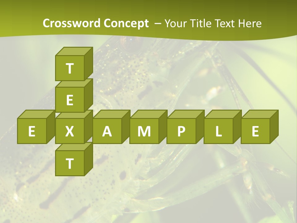 Tank Bottom Monster PowerPoint Template