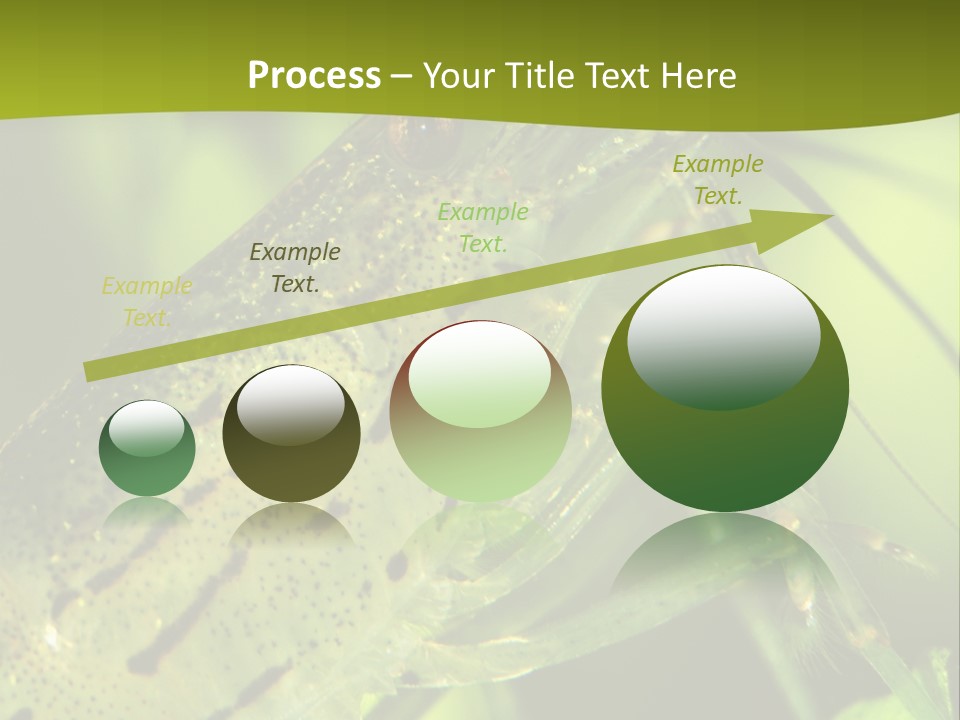 Tank Bottom Monster PowerPoint Template