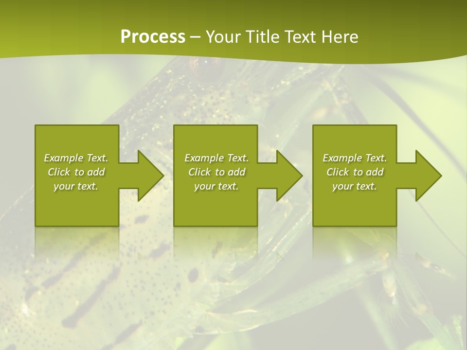 Tank Bottom Monster PowerPoint Template