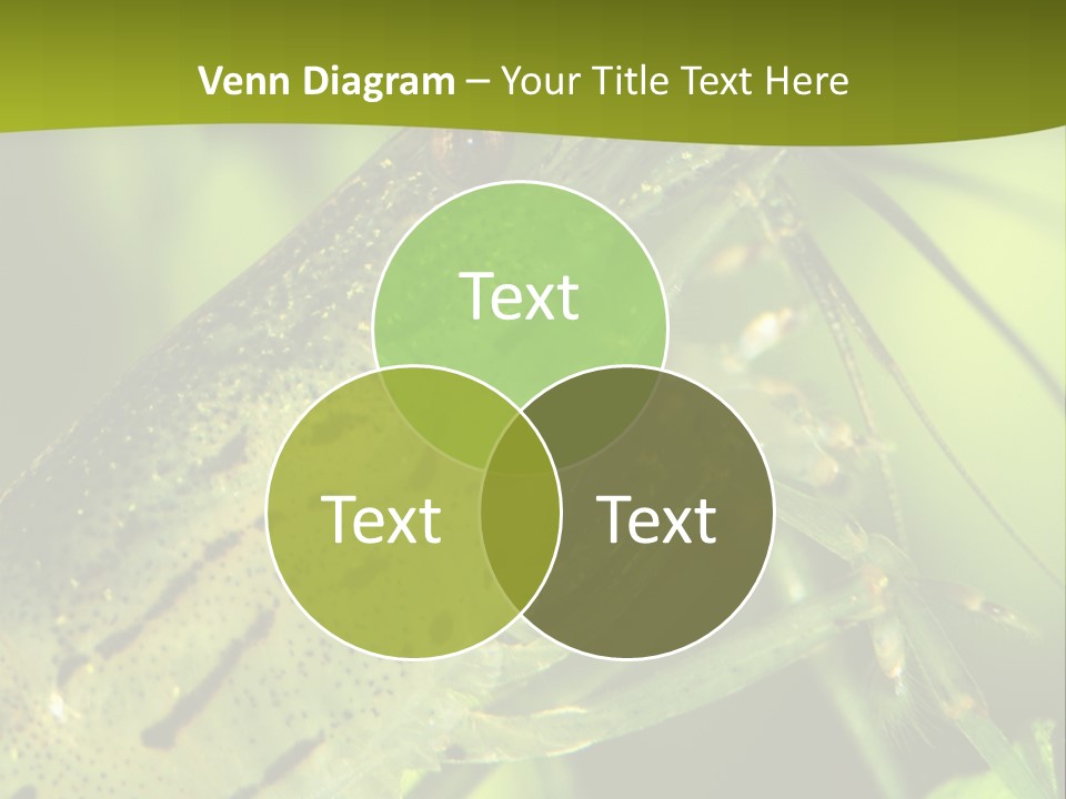 Tank Bottom Monster PowerPoint Template