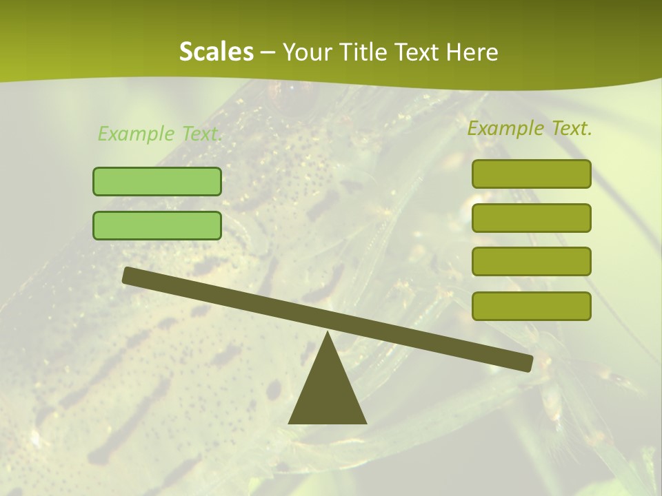 Tank Bottom Monster PowerPoint Template