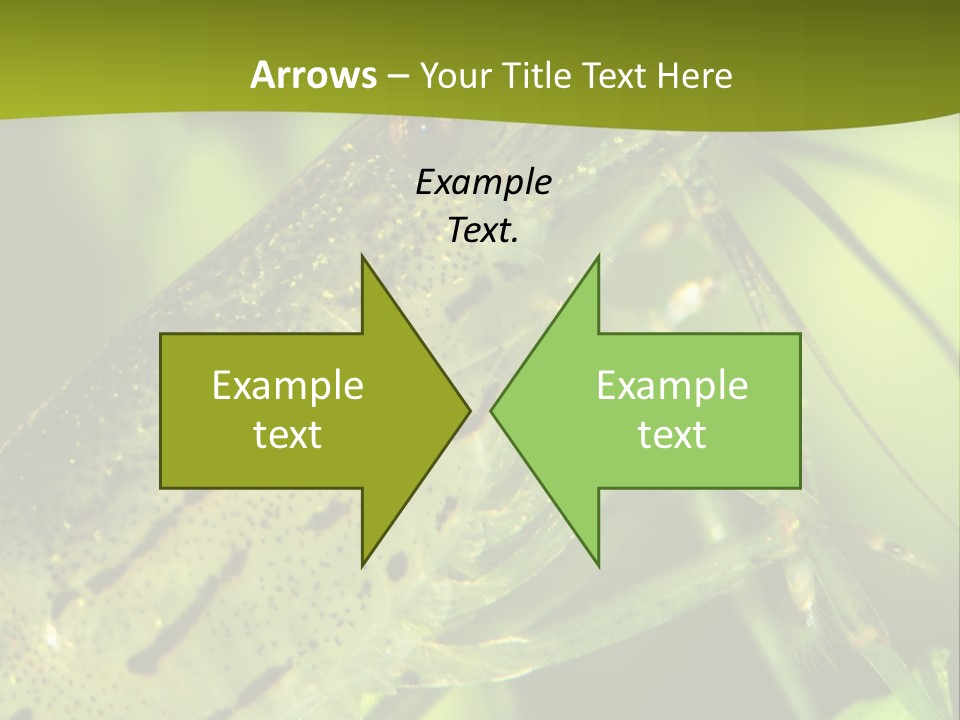 Tank Bottom Monster PowerPoint Template