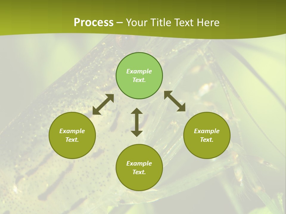 Tank Bottom Monster PowerPoint Template