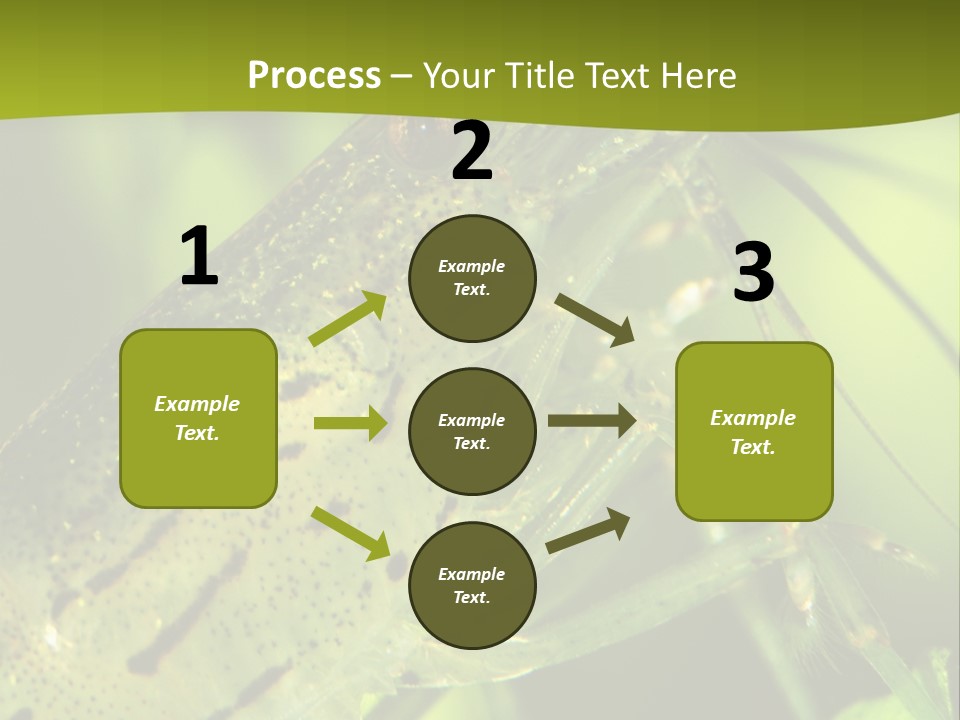 Tank Bottom Monster PowerPoint Template