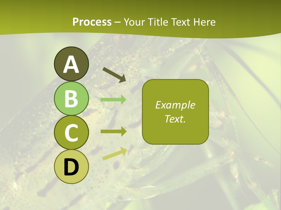 Tank Bottom Monster PowerPoint Template