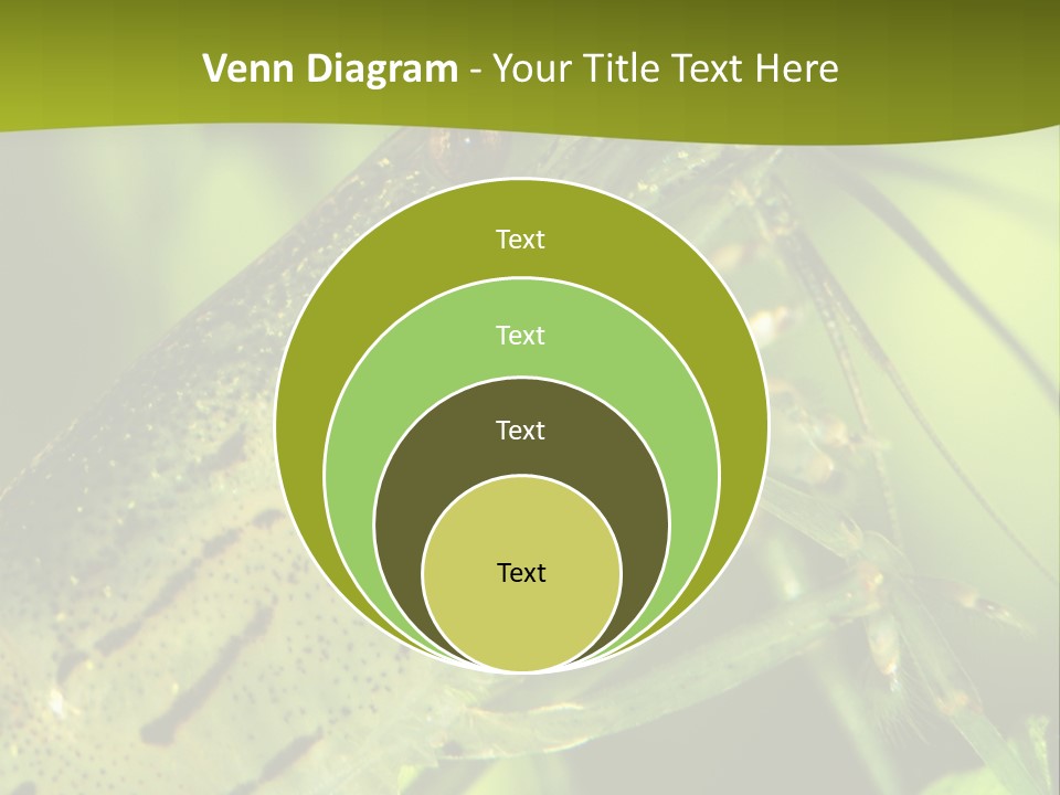 Tank Bottom Monster PowerPoint Template